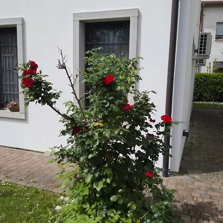 Affittacamere Coccinella 3*