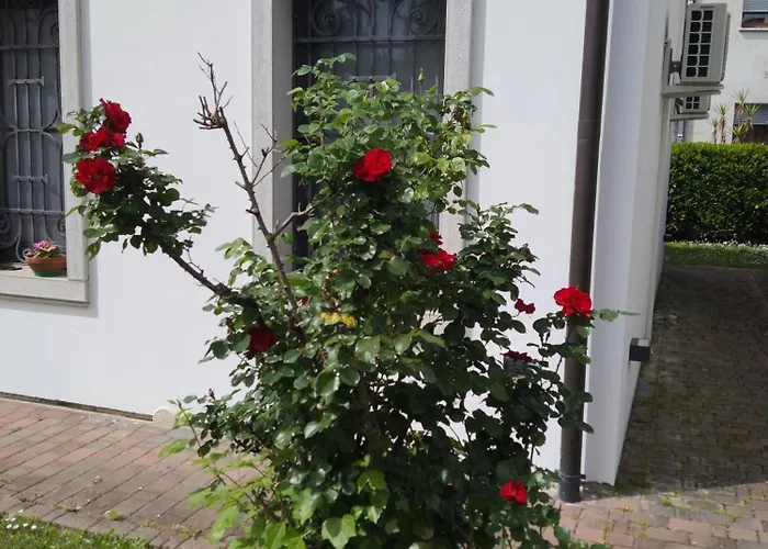 Guest house Coccinella 3*